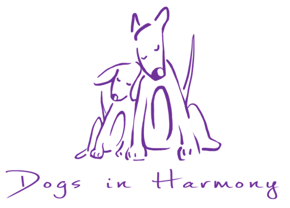 Dogs in Harmony